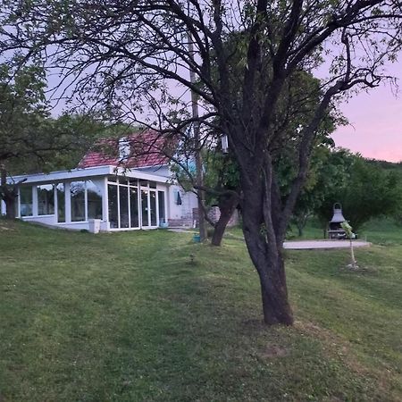 Honey Hill Apartment Fruska Gora Cerevic Екстер'єр фото