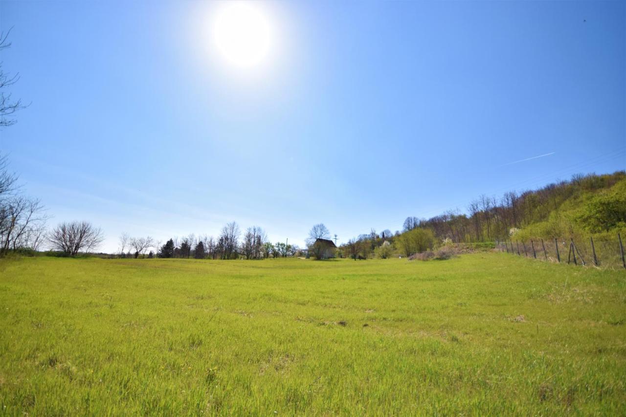 Honey Hill Apartment Fruska Gora Cerevic Екстер'єр фото