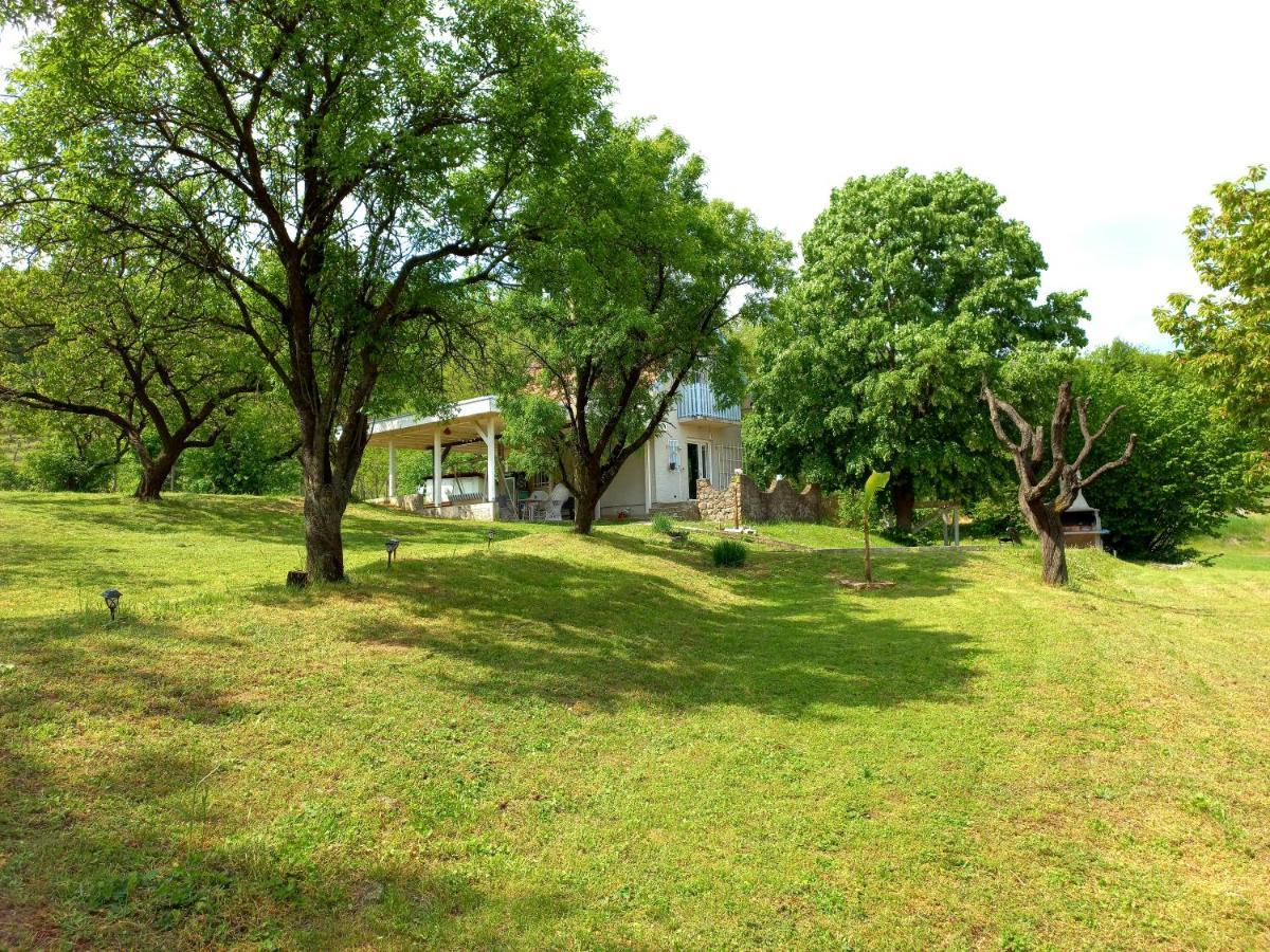 Honey Hill Apartment Fruska Gora Cerevic Екстер'єр фото