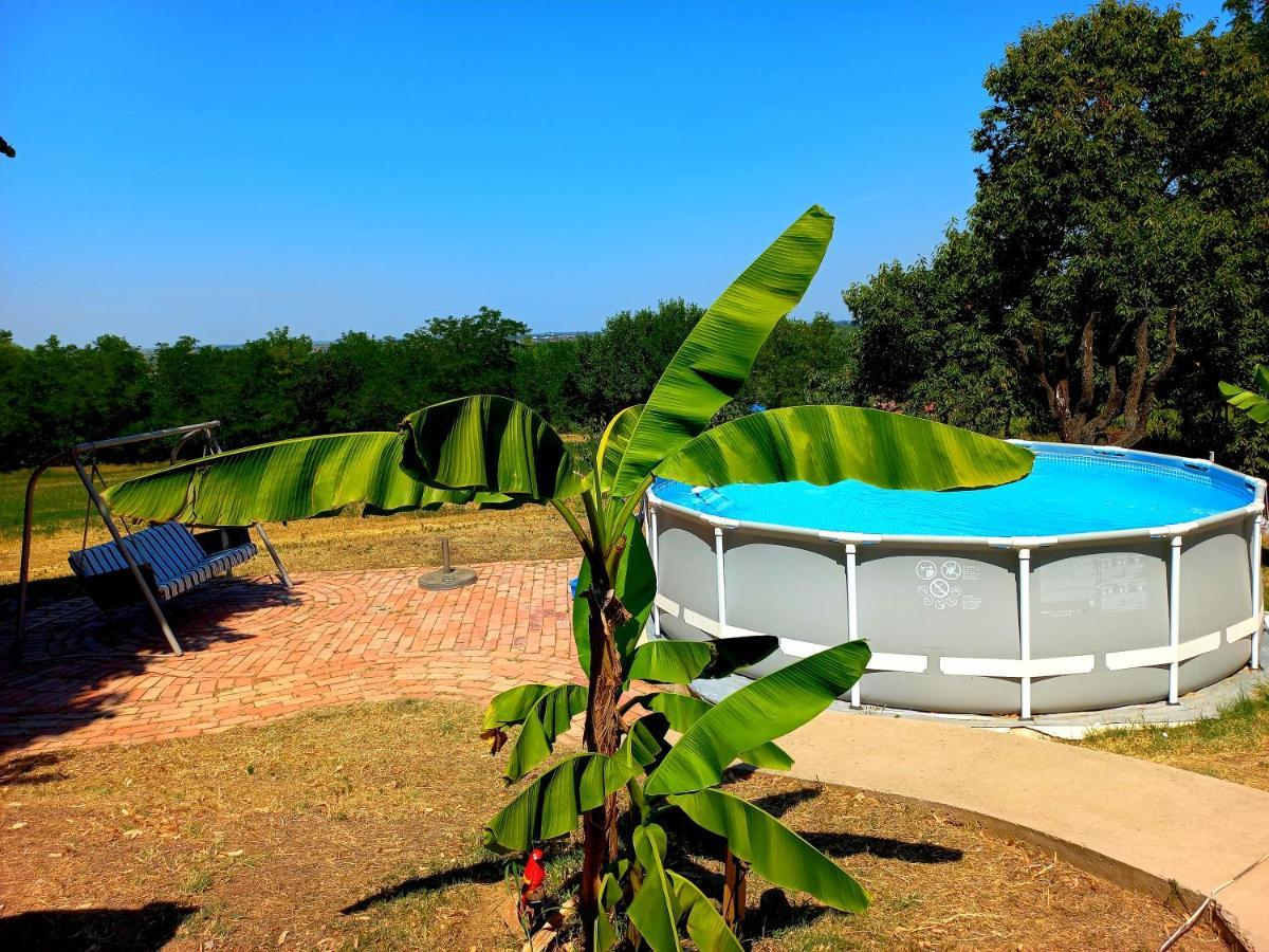 Honey Hill Apartment Fruska Gora Cerevic Екстер'єр фото