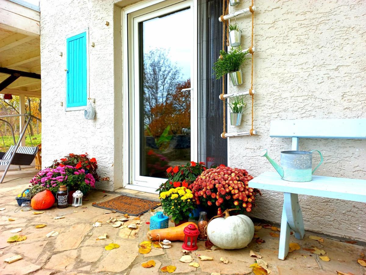 Honey Hill Apartment Fruska Gora Cerevic Екстер'єр фото