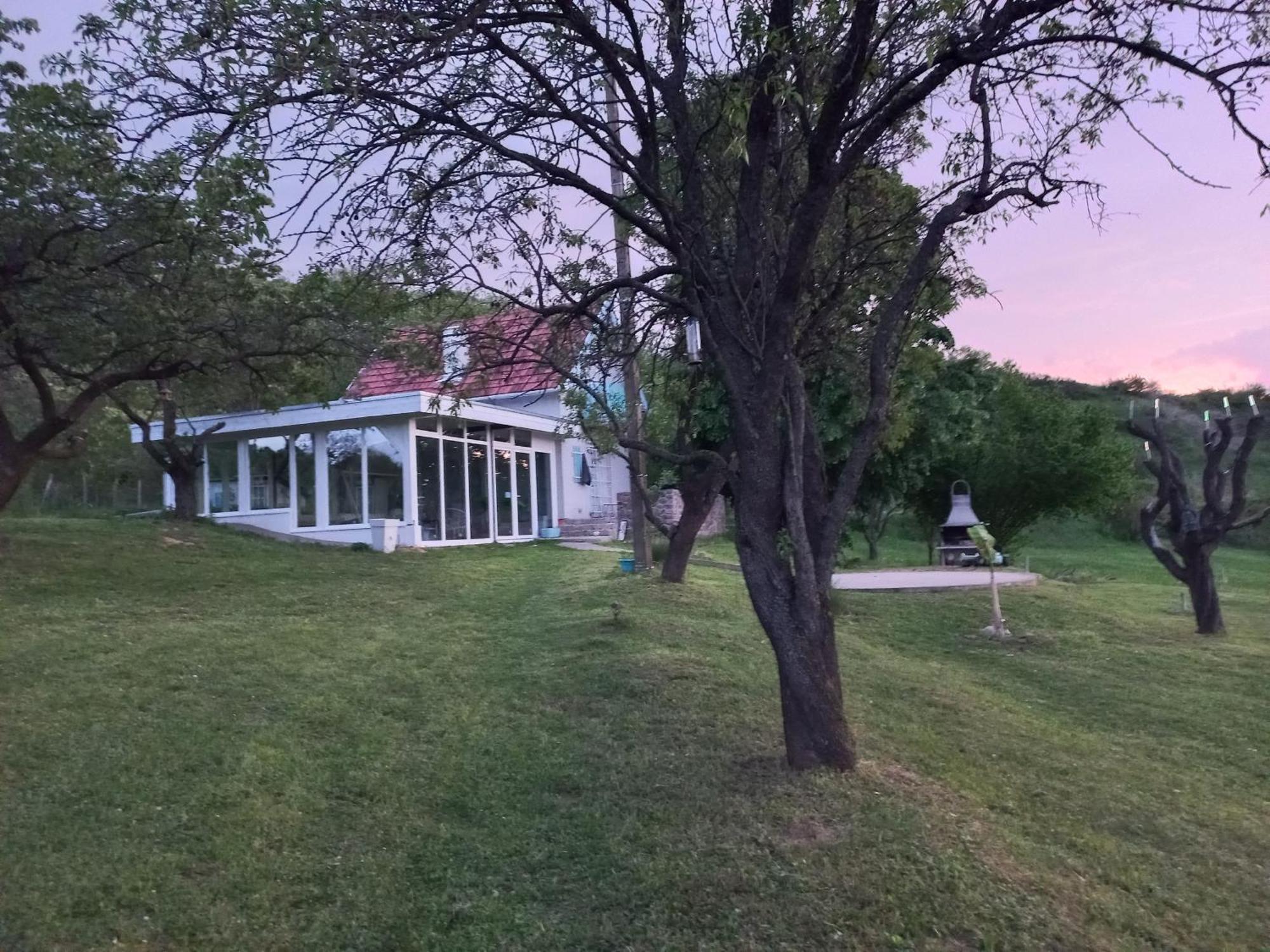 Honey Hill Apartment Fruska Gora Cerevic Екстер'єр фото